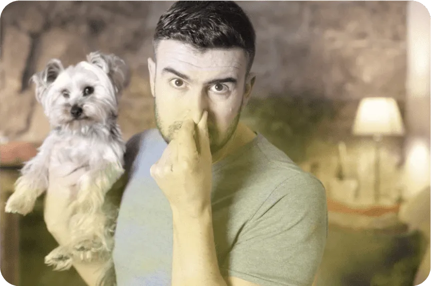 Bellevoux™ Purificateur d’air pour animaux