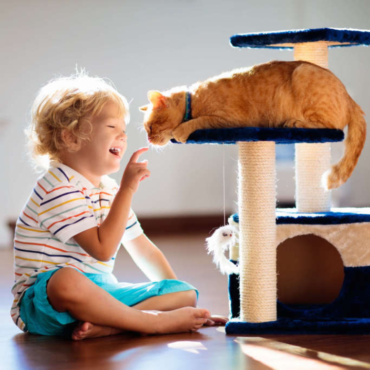 Bellevoux™ Purificateur d’air pour animaux